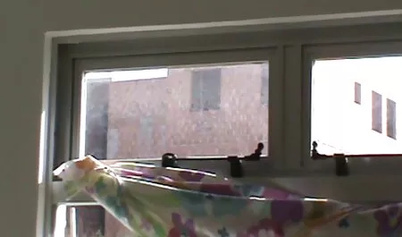 pov cumshot zusammenstellung deutschsprachige pornoseiten