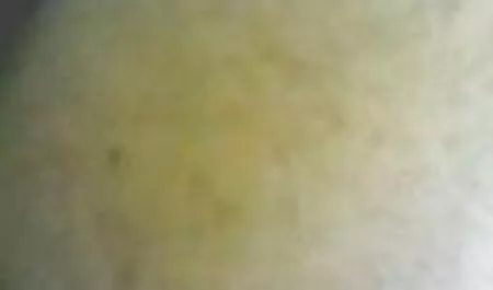 Ehemann Sperma in den Arsch seiner russischen die besten kostenlosen pornoseiten Frau