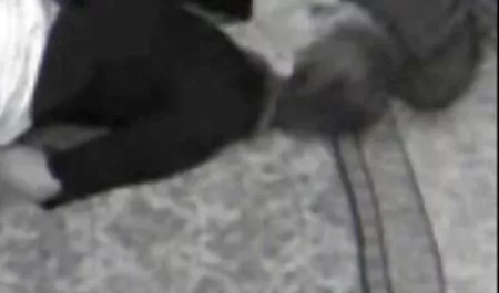 Schwester und nicht ihr Bruder, es ist schon eine besten pornoseiten Weile her